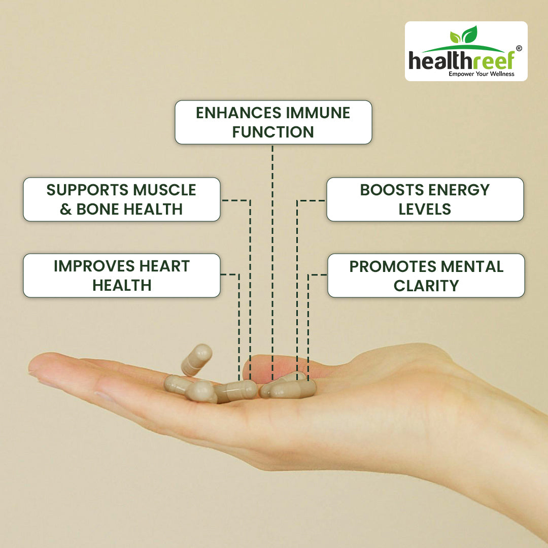 Healthreef Plant-Based Multi-Vitamin for Men – Complete Daily Vitamins, Minerals, and Antioxidants for Energy, Immune Support, and Vitality – 60 Vegetarian Capsules