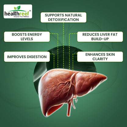 Healthreef Advanced Liver Cleanse & Detox Supplement – Milk Thistle, Choline, Inositol, Dandelion, Turmeric & Green Tea Extracts – Potent Herbal Support for Liver Health, Detoxification, and Fat Metabolism – 60 Vegetarian Capsules