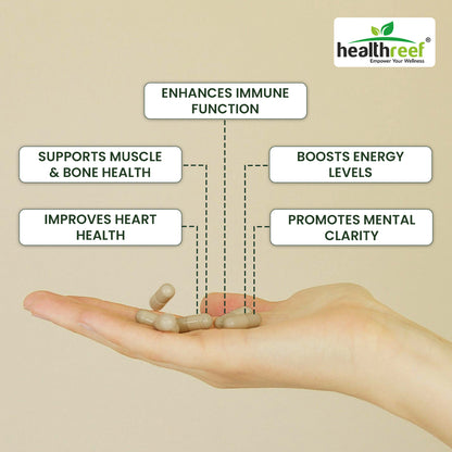 Healthreef Plant-Based Multi-Vitamin for Men – Complete Daily Vitamins, Minerals, and Antioxidants for Energy, Immune Support, and Vitality – 60 Vegetarian Capsules