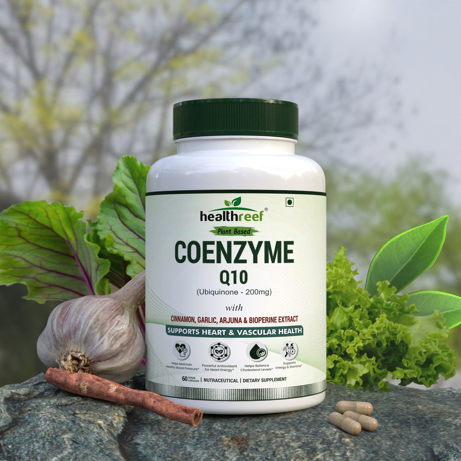 Healthreef Plant-Based Coenzyme Q10 with Cinnamon, Garlic, Arjuna & BioPerine – Supports General Wellness & Vitality – 60 Veg Capsules - Healthreef
